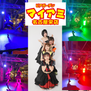 マイちゃんアミちゃん募集